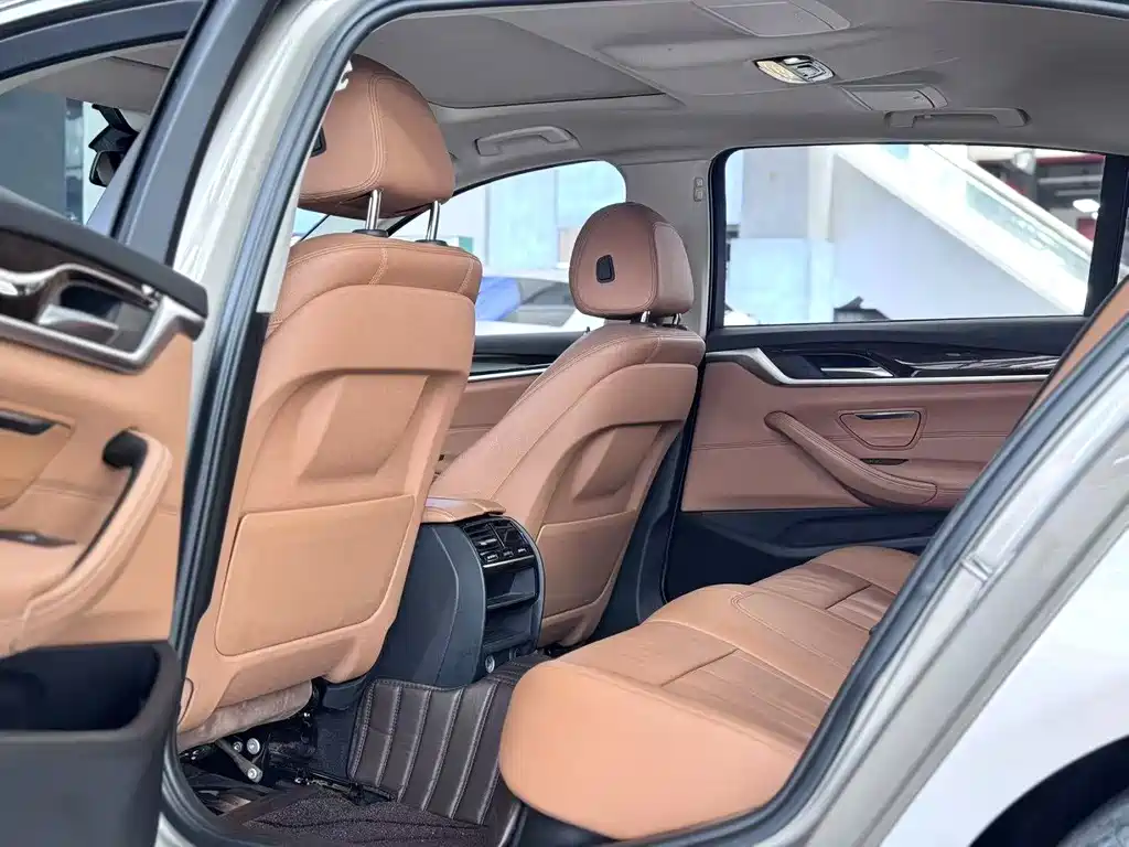 BMW 5 Series 5 2018 528Li