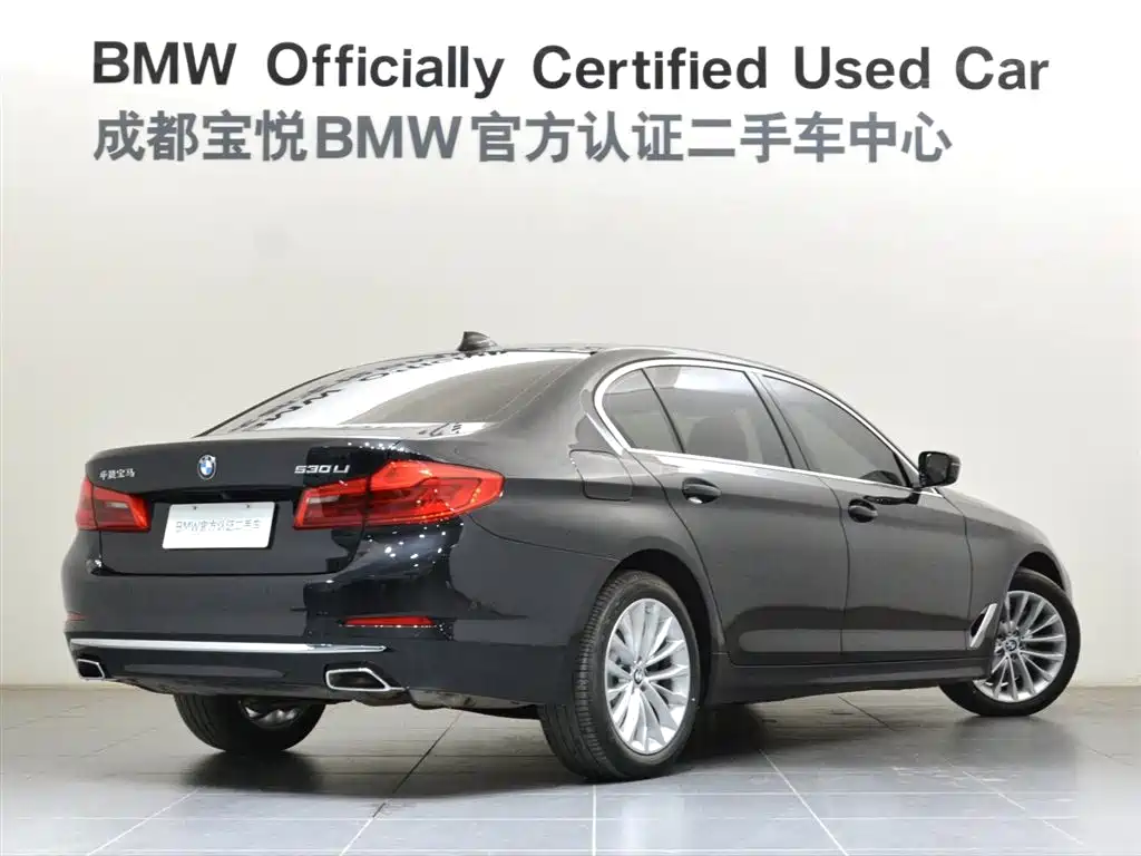 BMW 5 Series 5 2020 530Li Lead Luxury