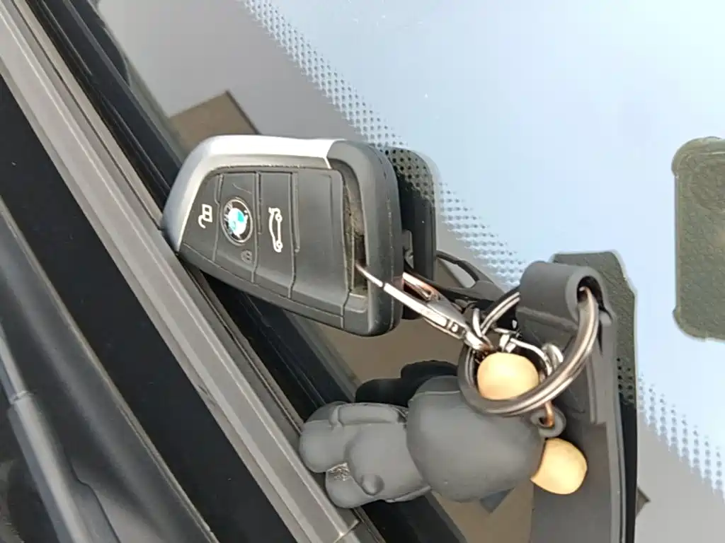 BMW X1 — миниатюра 9