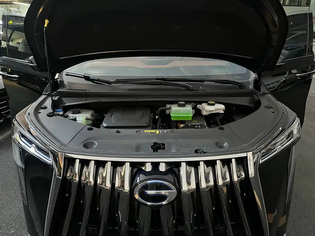 GAC Motor Trumpchi Xiangwang M8 — миниатюра 24