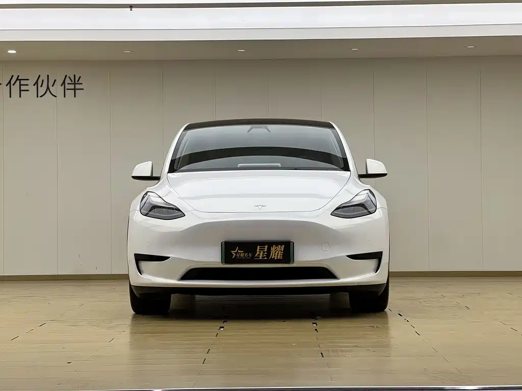 Tesla Model Y — миниатюра 2