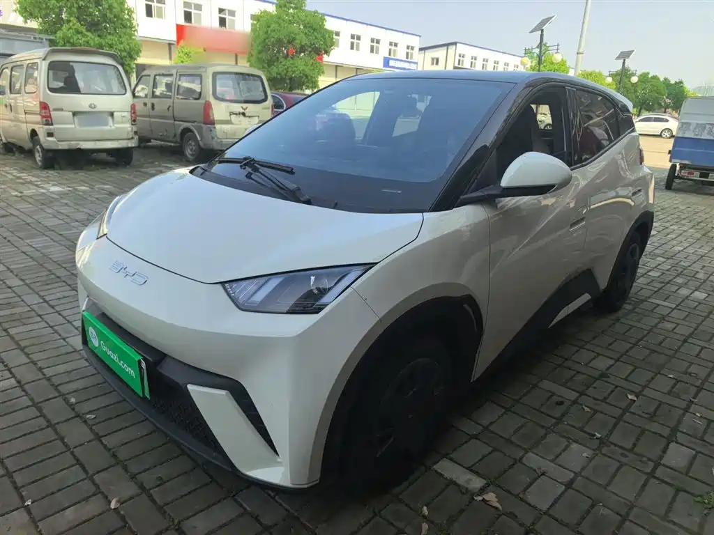 Byd Seagull 2024