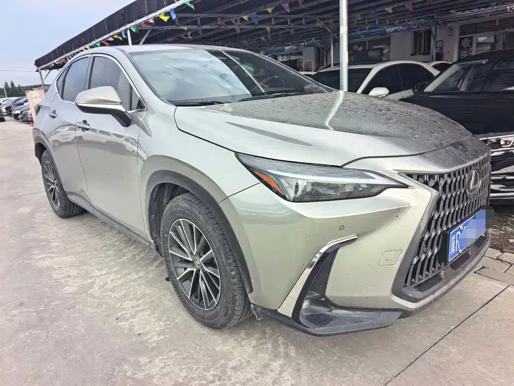 Lexus NX 2023 260