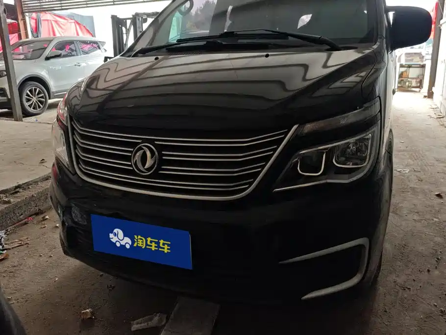 Fengxing Lingzhi — миниатюра 2