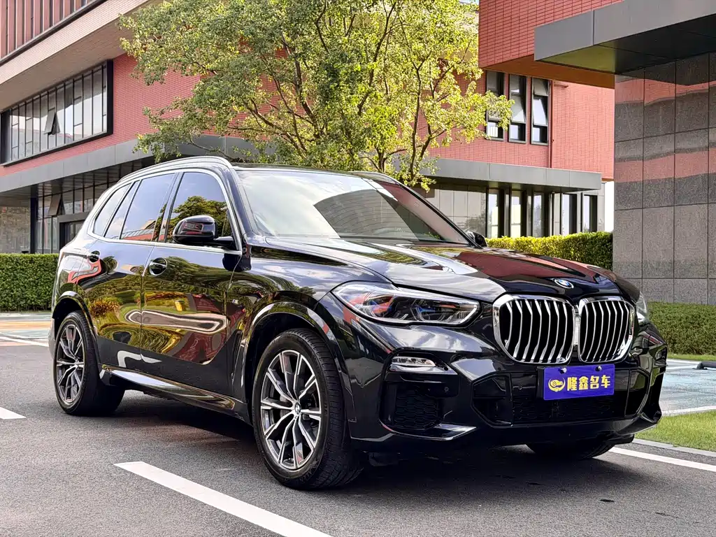 BMW X5 New Energy (Import) — миниатюра 3
