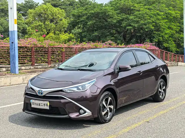 TOYOTA LEI LING 2018