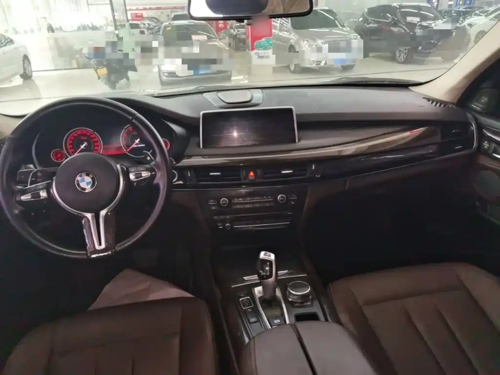 BMW X5 (Import) — миниатюра 10