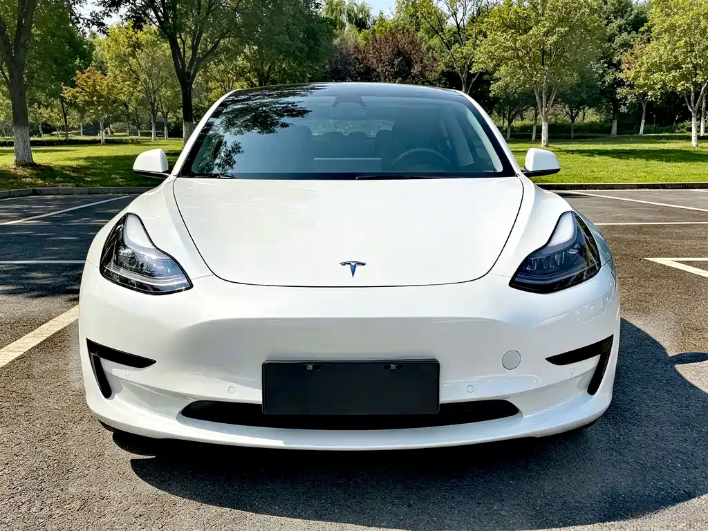 Tesla Model 3 — миниатюра 2
