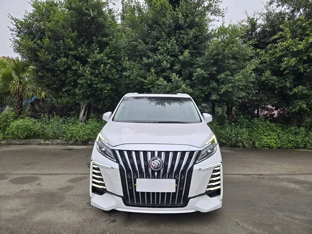 Buick GL8 2018 ES 28T Comfort VI