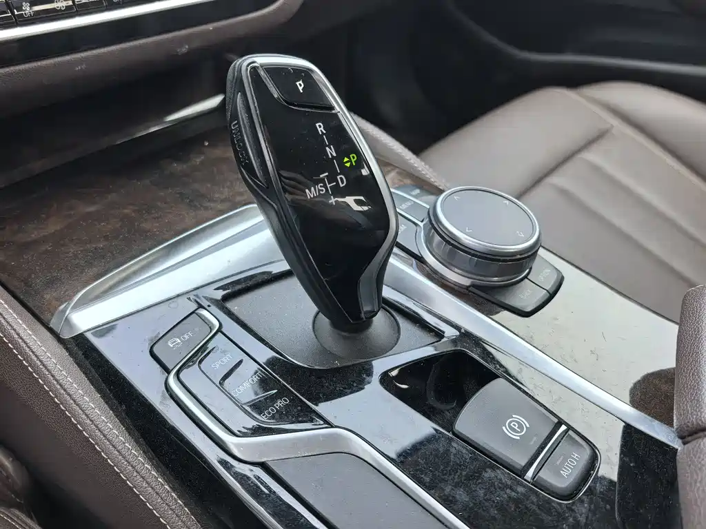 BMW 5 Series 5 2020 525Li Luxury