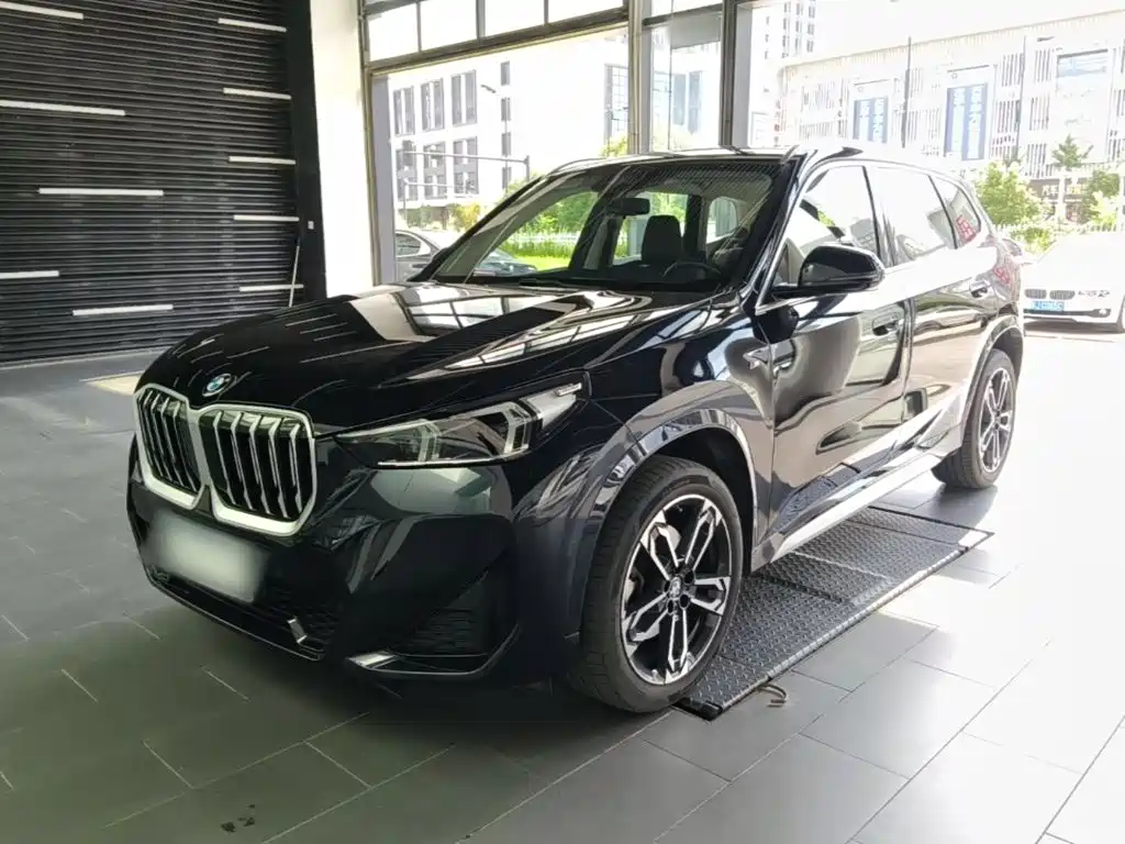 BMW X1 — миниатюра 2