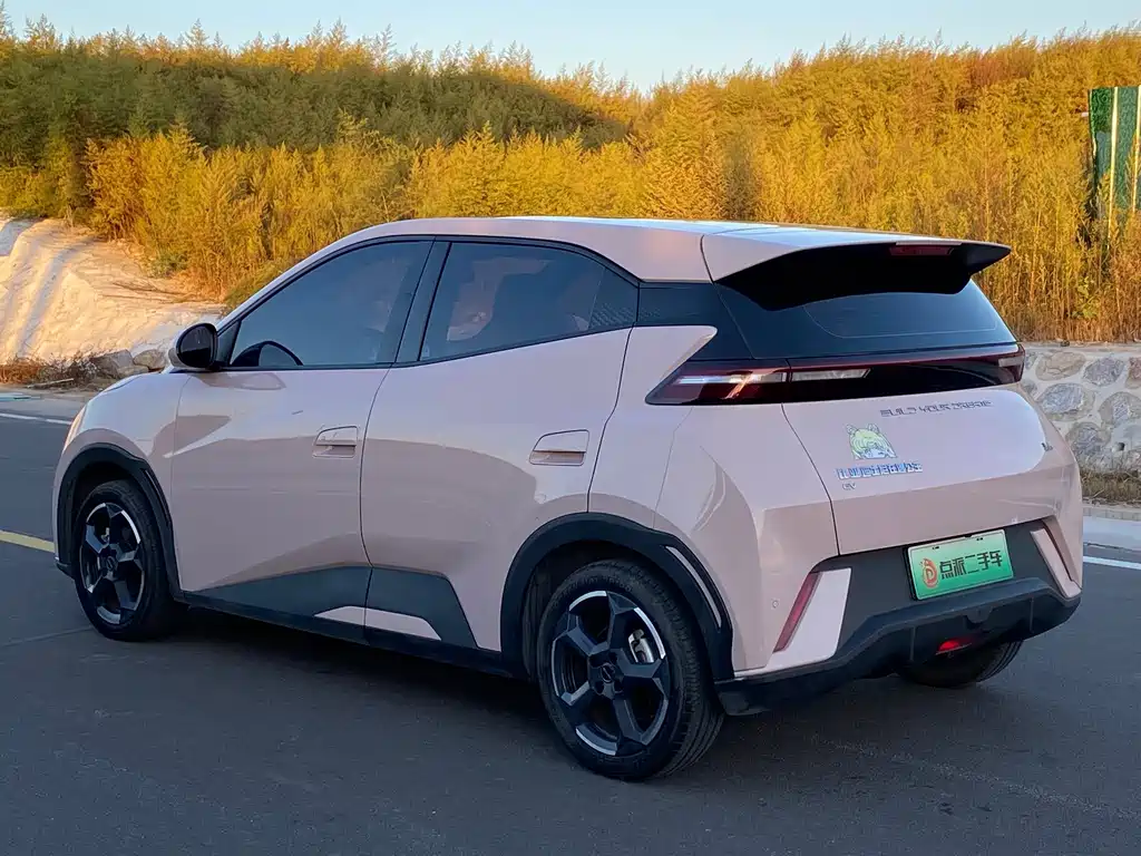 BYD Seagull — миниатюра 6
