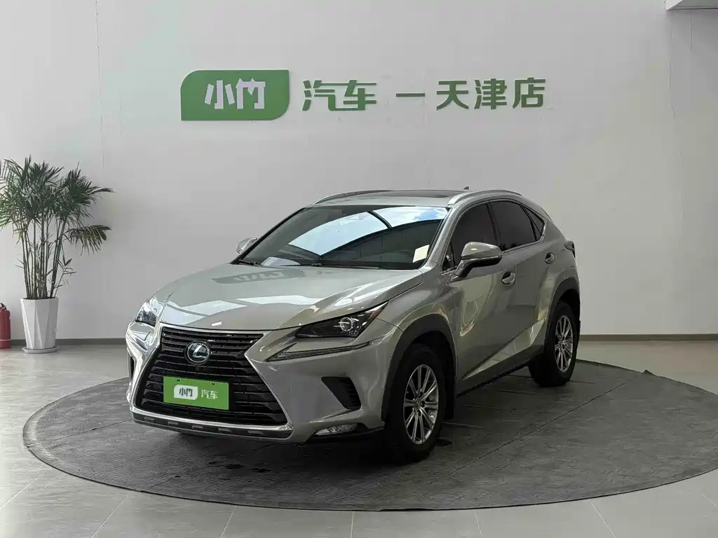 Lexus NX 2020 200 AWD Sharp Fashion Edition China V