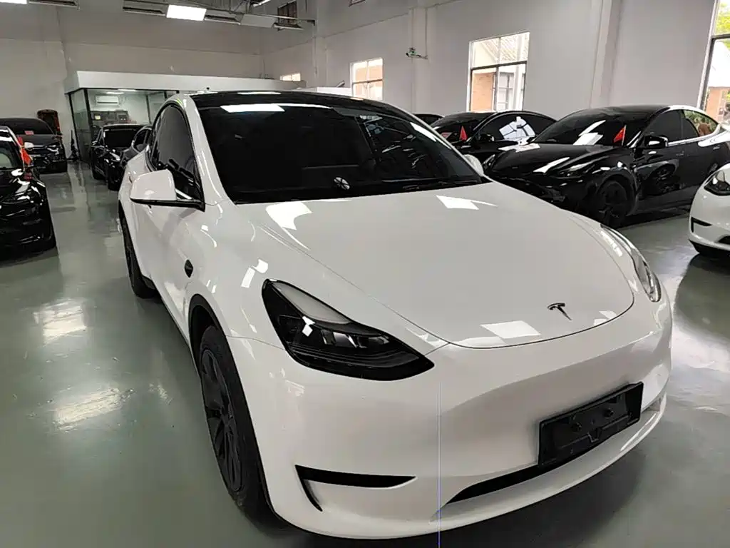 Tesla Model Y — миниатюра 4