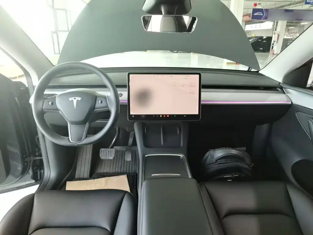Tesla Model Y — миниатюра 10