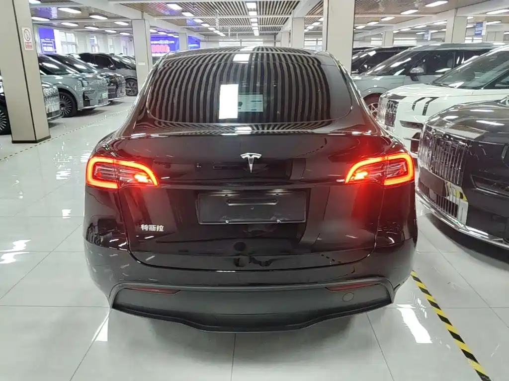Tesla Model Y — миниатюра 6