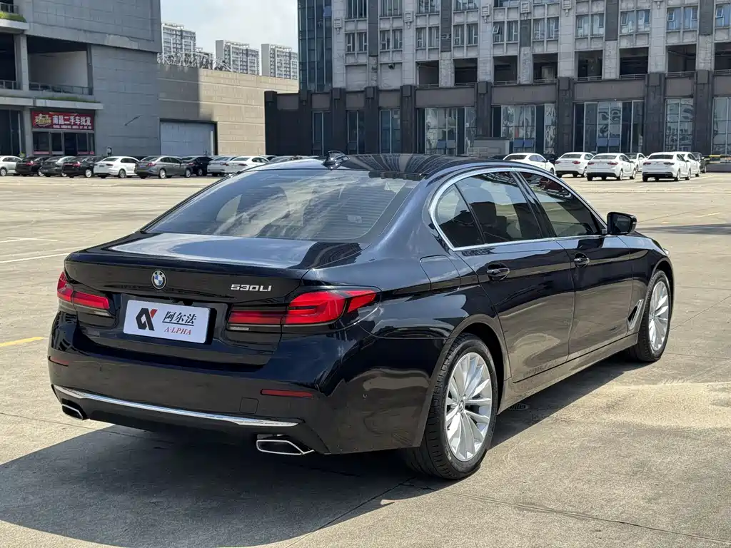 BMW 5 Series 5 2021 525Li Luxury