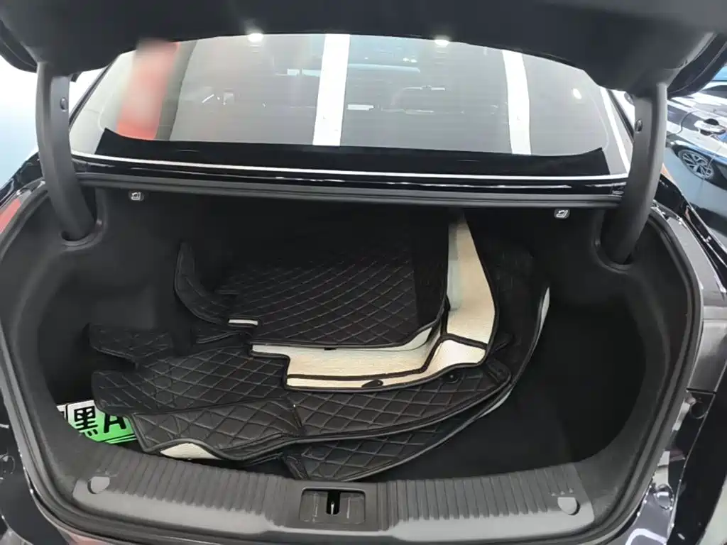 Hongqi Hongqi H5 PHEV — миниатюра 19