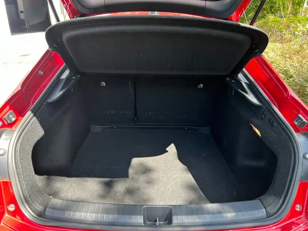 Volkswagen Lamando — миниатюра 6