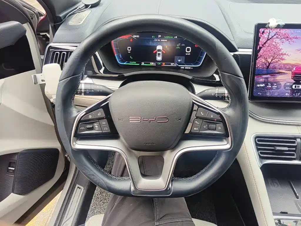 BYD PLUS New Energy — миниатюра 11