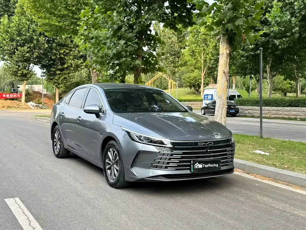 BYD Destroyer 05 2024 DM-i 55KM Luxury