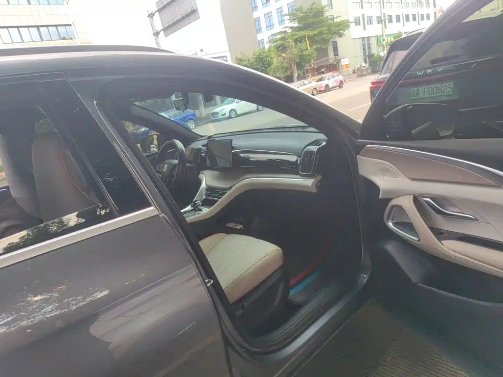 BYD Pro New Energy — миниатюра 19