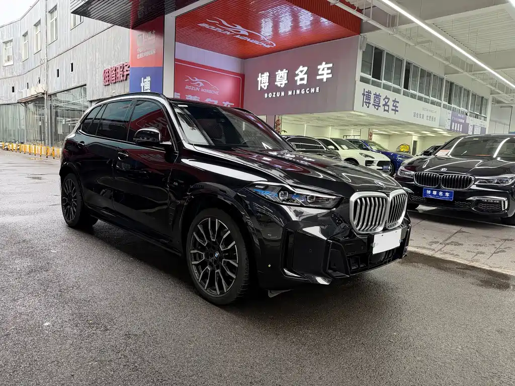 BMW X5 — миниатюра 3