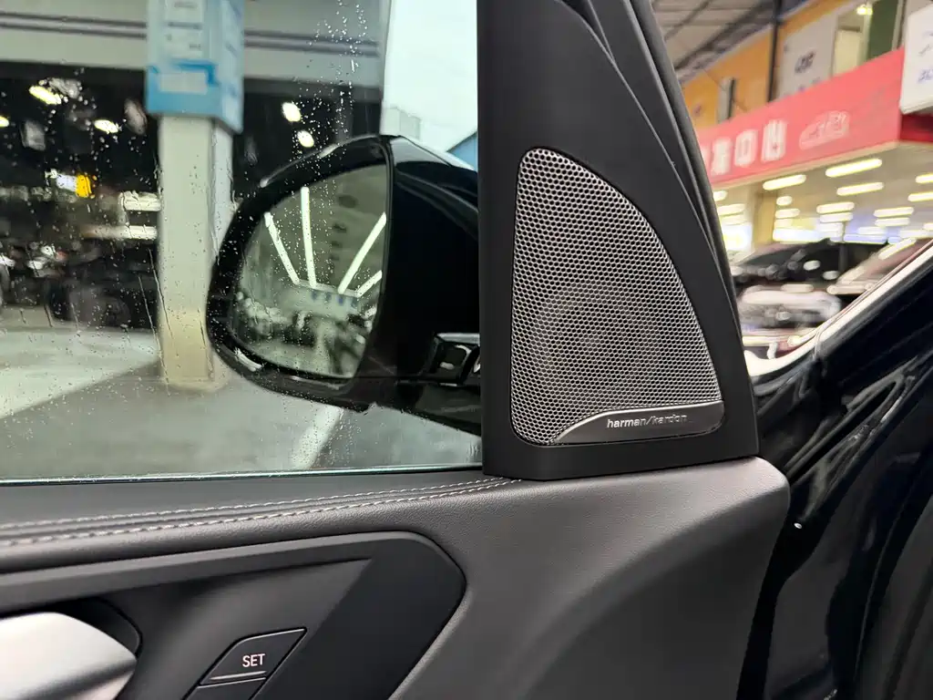 BMW X5 — миниатюра 8