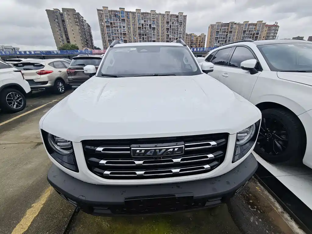 Haval 长城大狗 — миниатюра 2