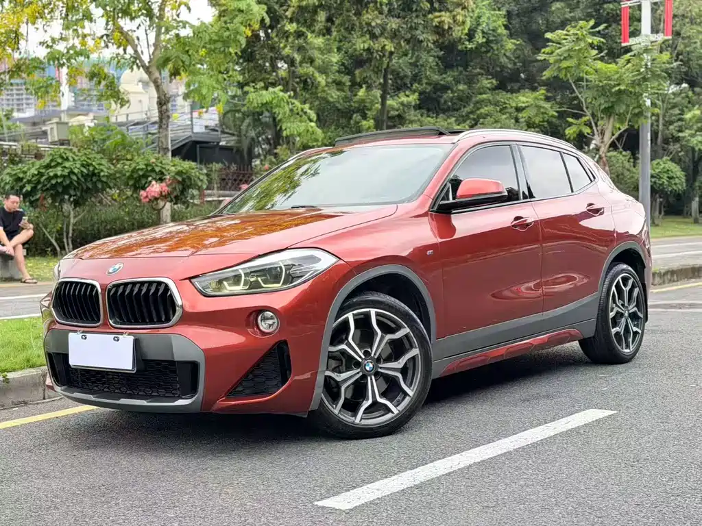 BMW X2 2018 sDrive25i Luxury M V
