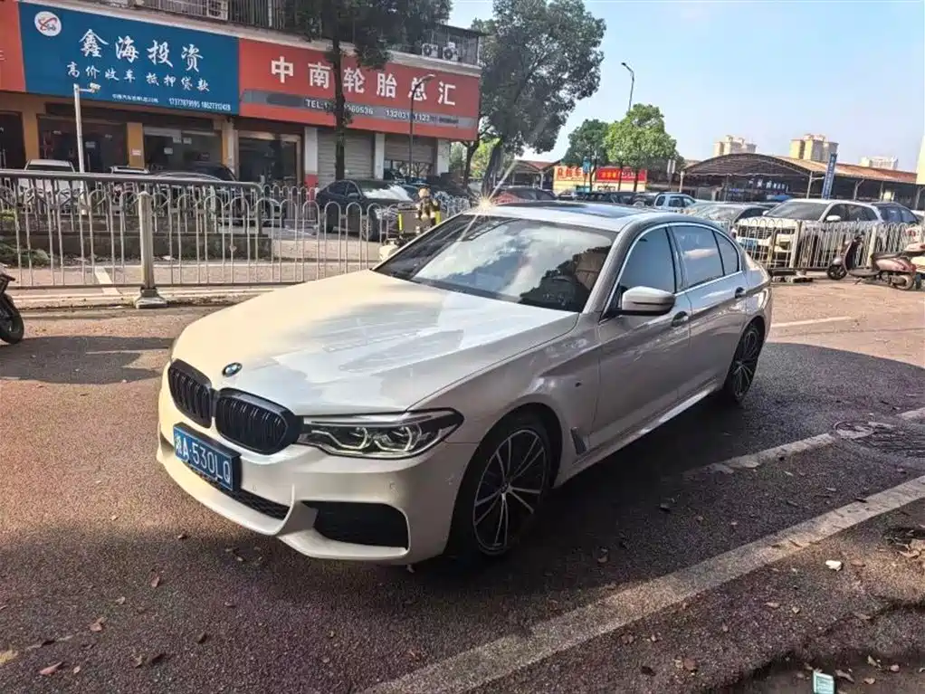 BMW 5 Series 2020 530Li Leading Type M Sport Package