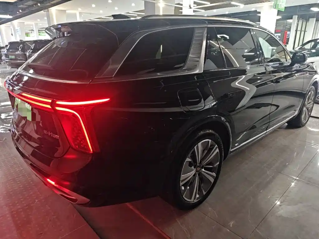 Hongqi Hongqi E-HS9 — миниатюра 7