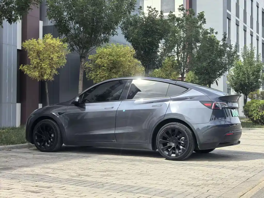 Tesla Model Y — миниатюра 9