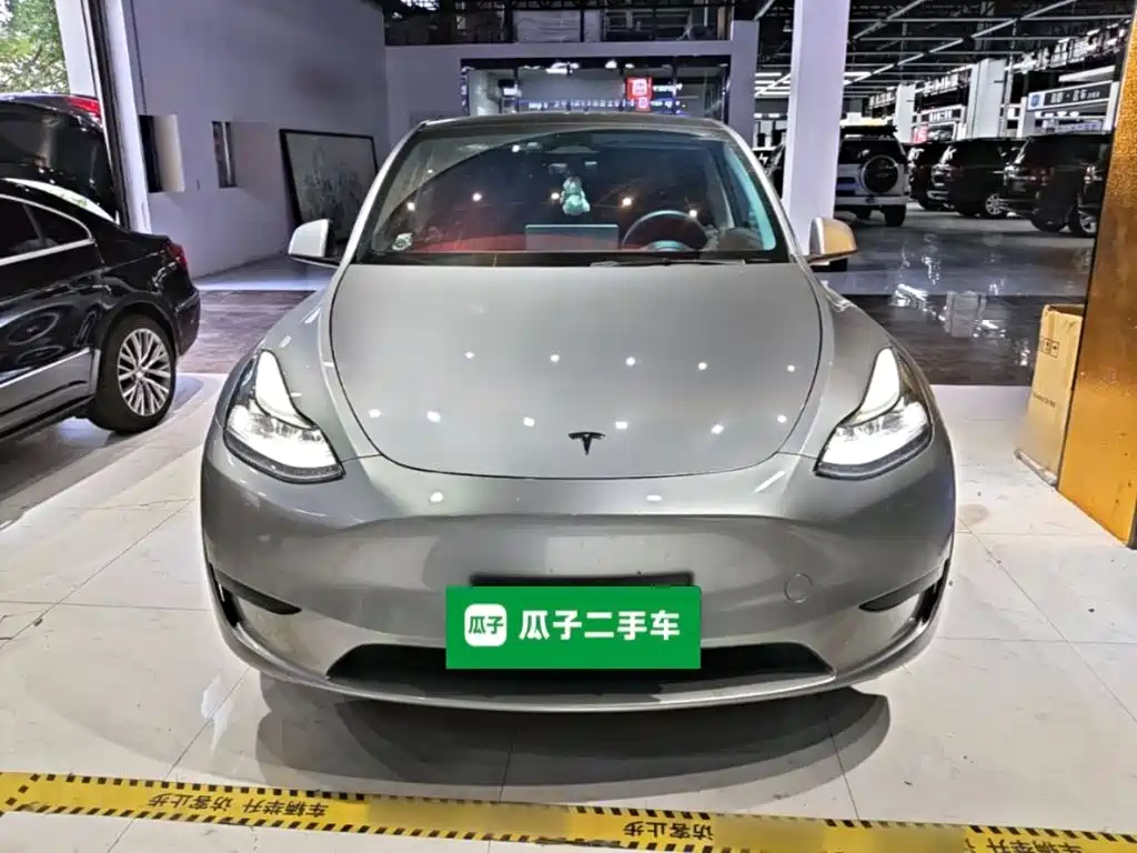 Tesla Model Y — миниатюра 3