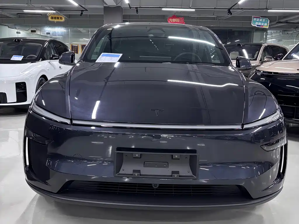 Tesla Model Y L — миниатюра 2