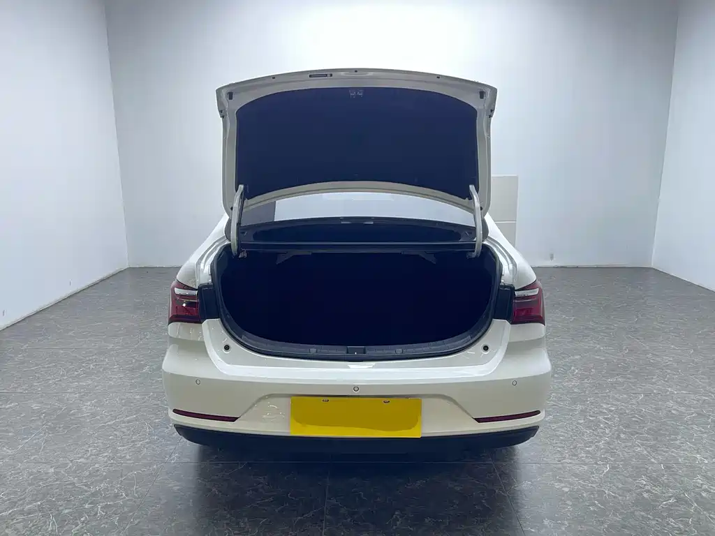 BYD Qin NEV