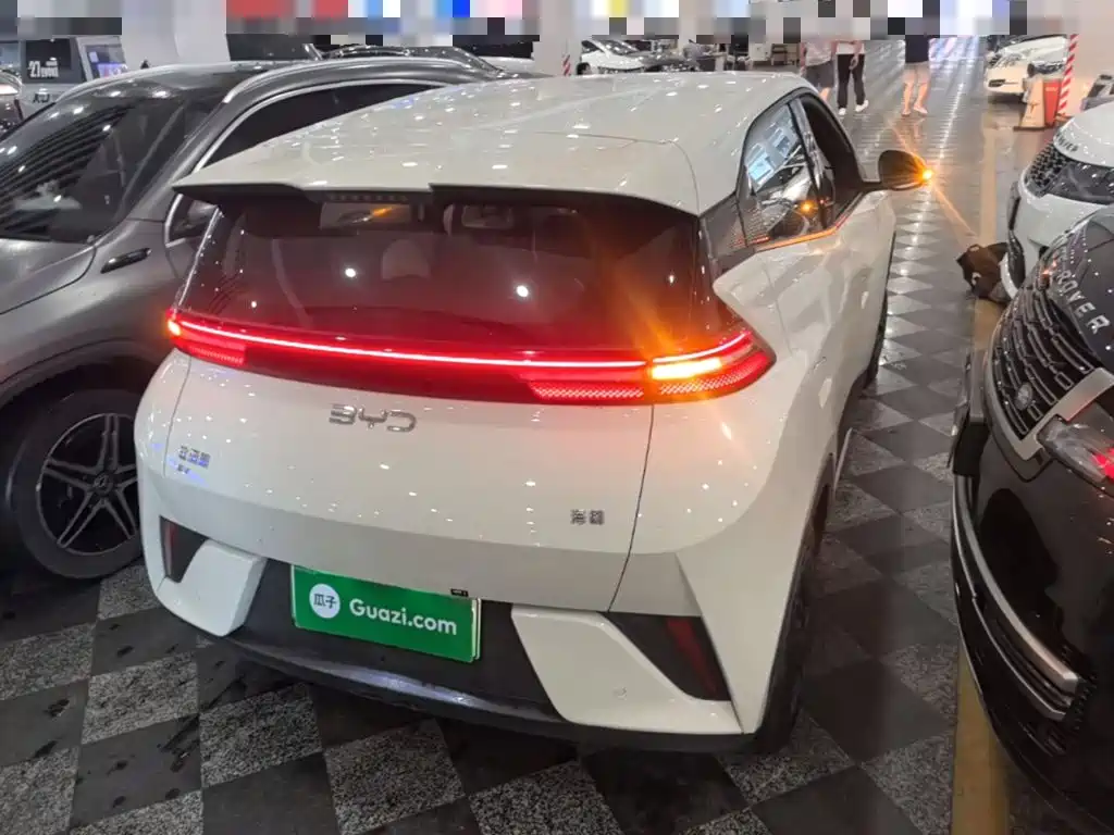 BYD Seagull 2025 305km
