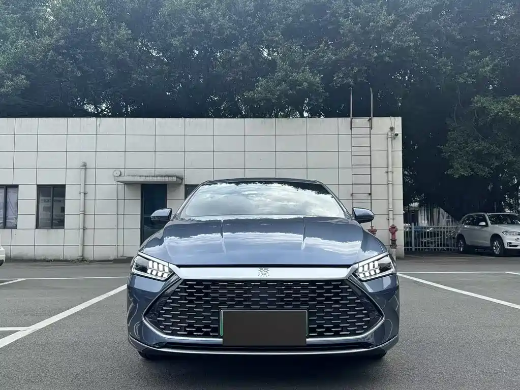 BYD Qin Plus PLUS 2024 EV 510KM Lead