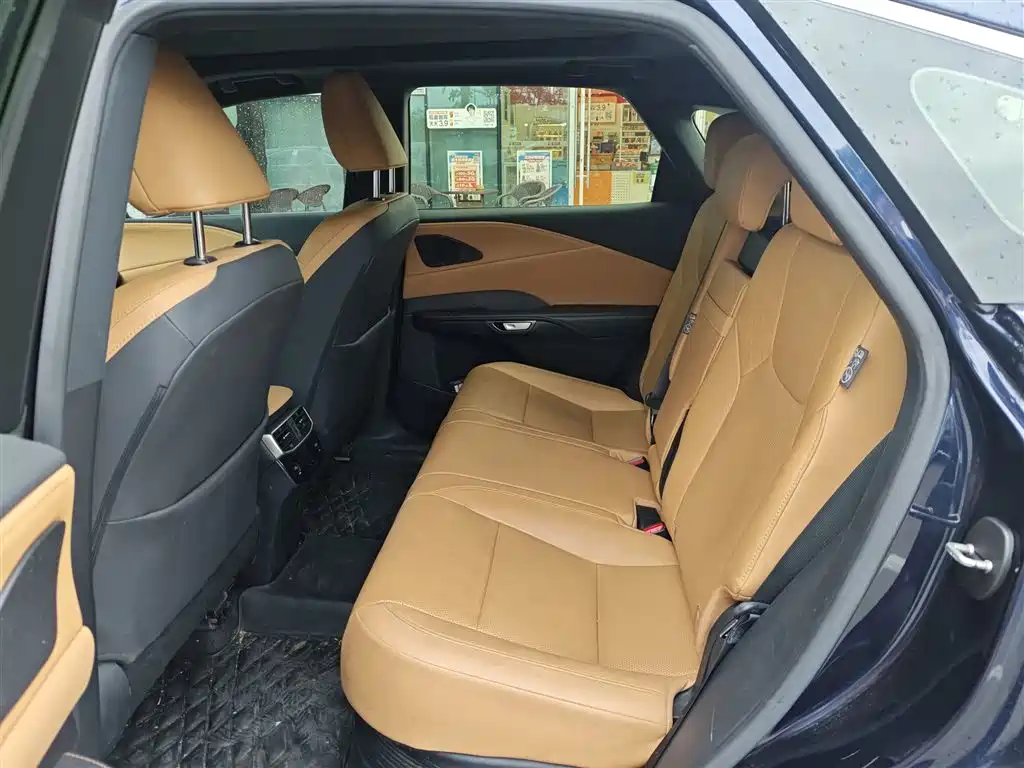 Lexus RX — миниатюра 8