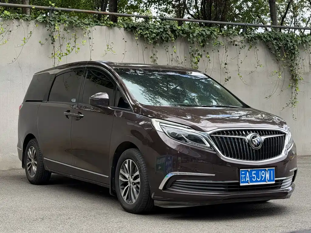 Buick GL8 — миниатюра 3