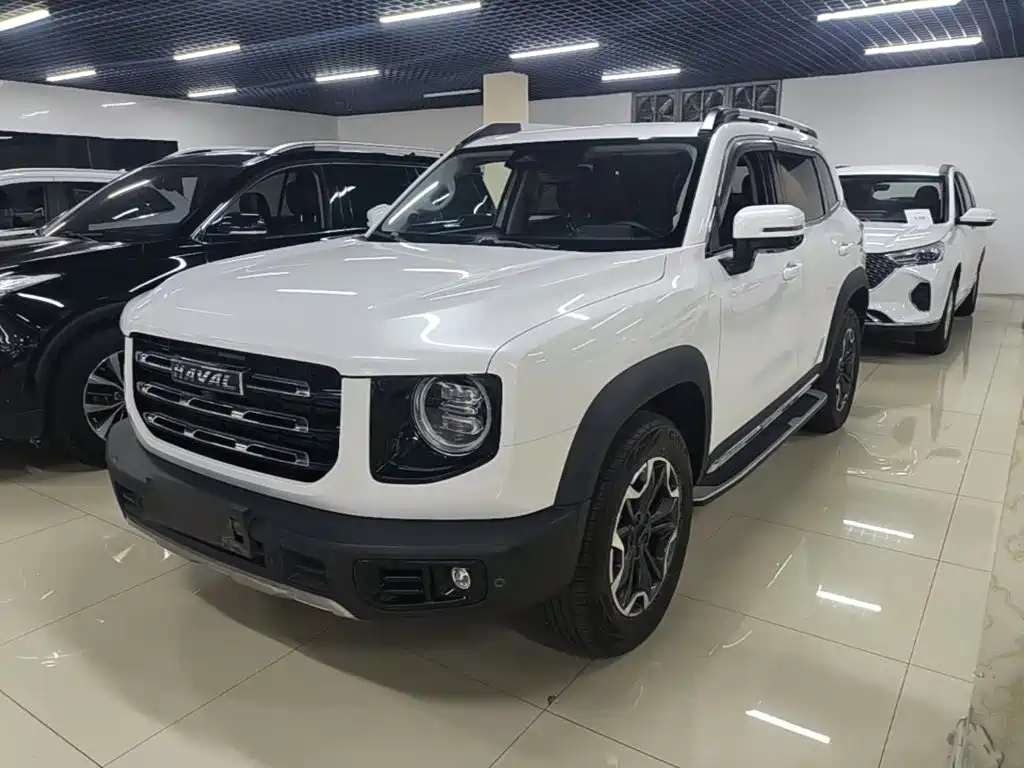 Haval 长城大狗 — миниатюра 2