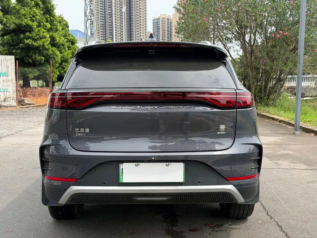 BYD Tang New Energy — миниатюра 6