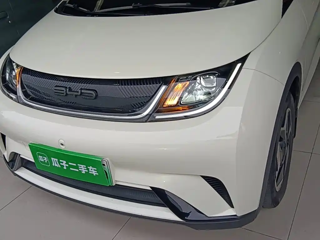 BYD Dolphin — миниатюра 24