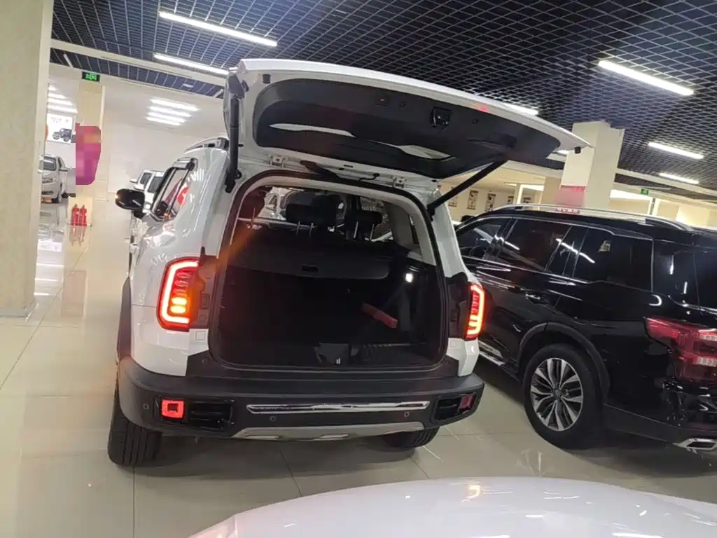 Haval 长城大狗 — миниатюра 19