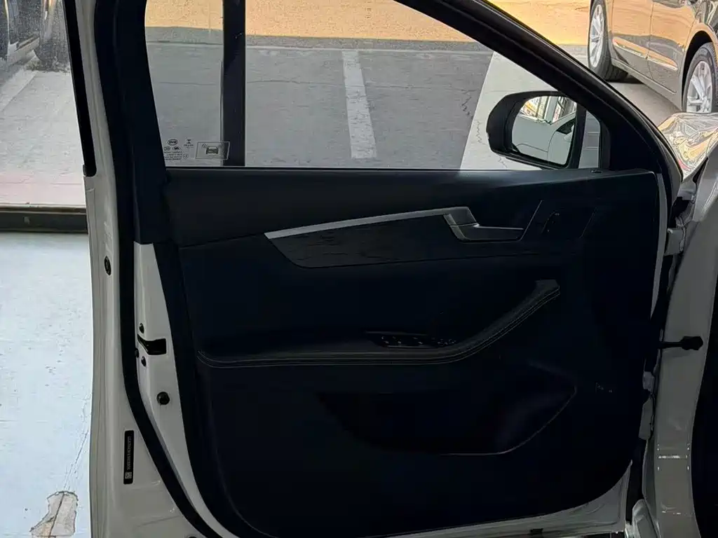 BYD Qin Pro NEV — миниатюра 3