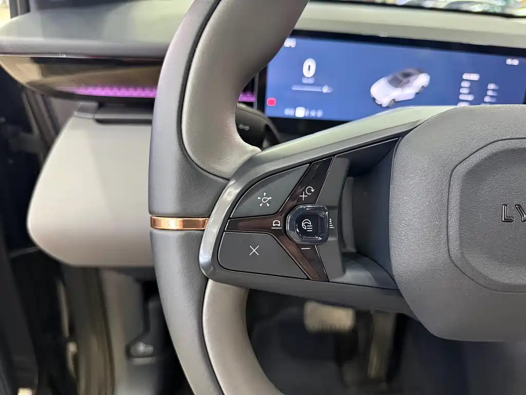Lynk & Co Z20 2025 530km Pro
