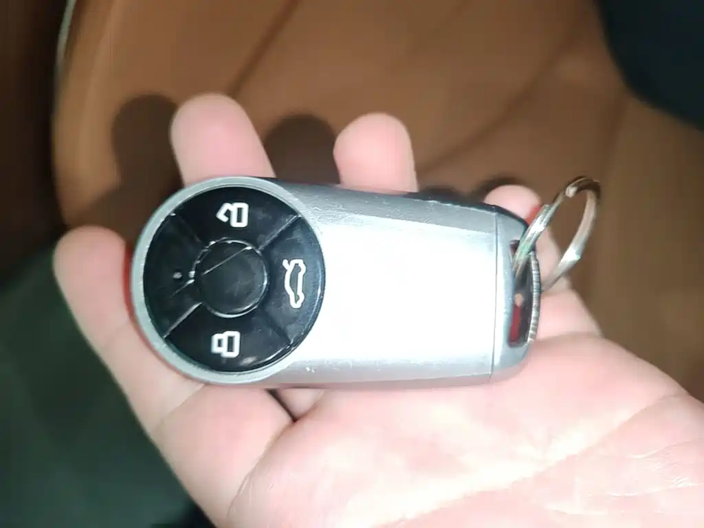 Ora Ora Lightning Cat — миниатюра 9