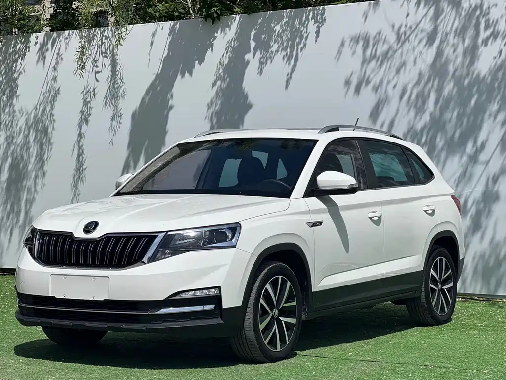 Купить Skoda Kamiq