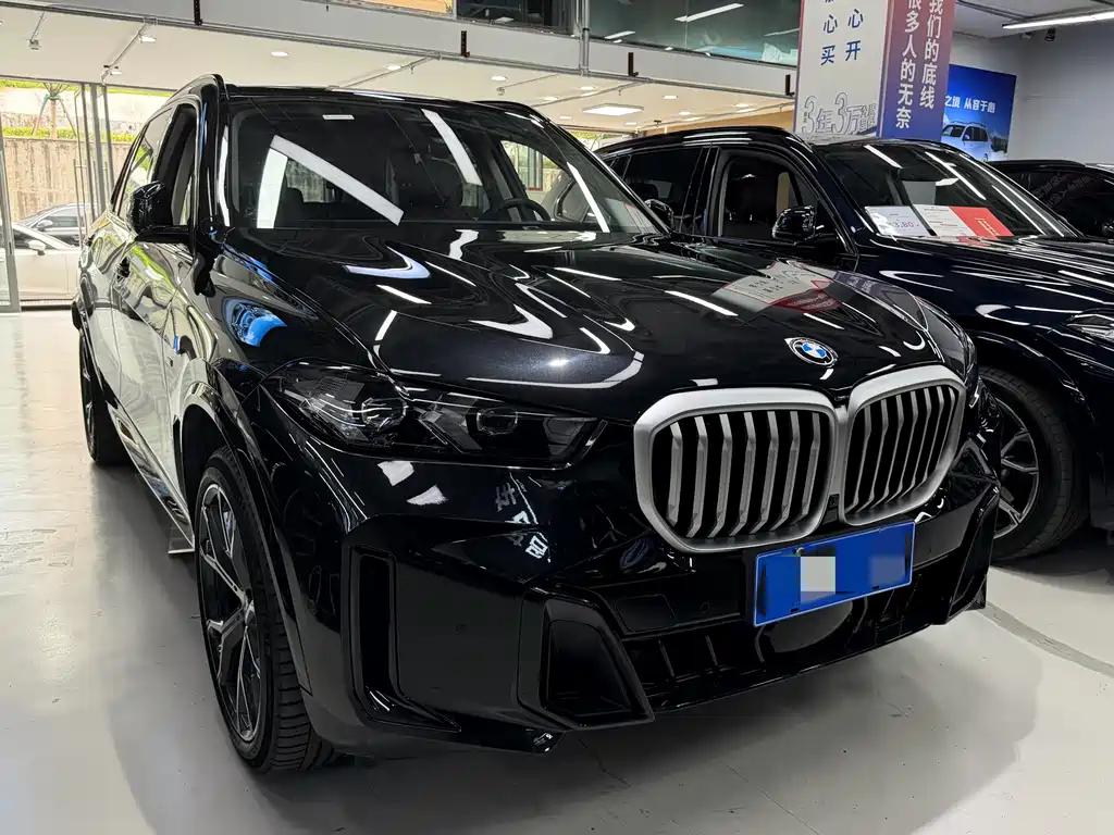 BMW X5 — миниатюра 2