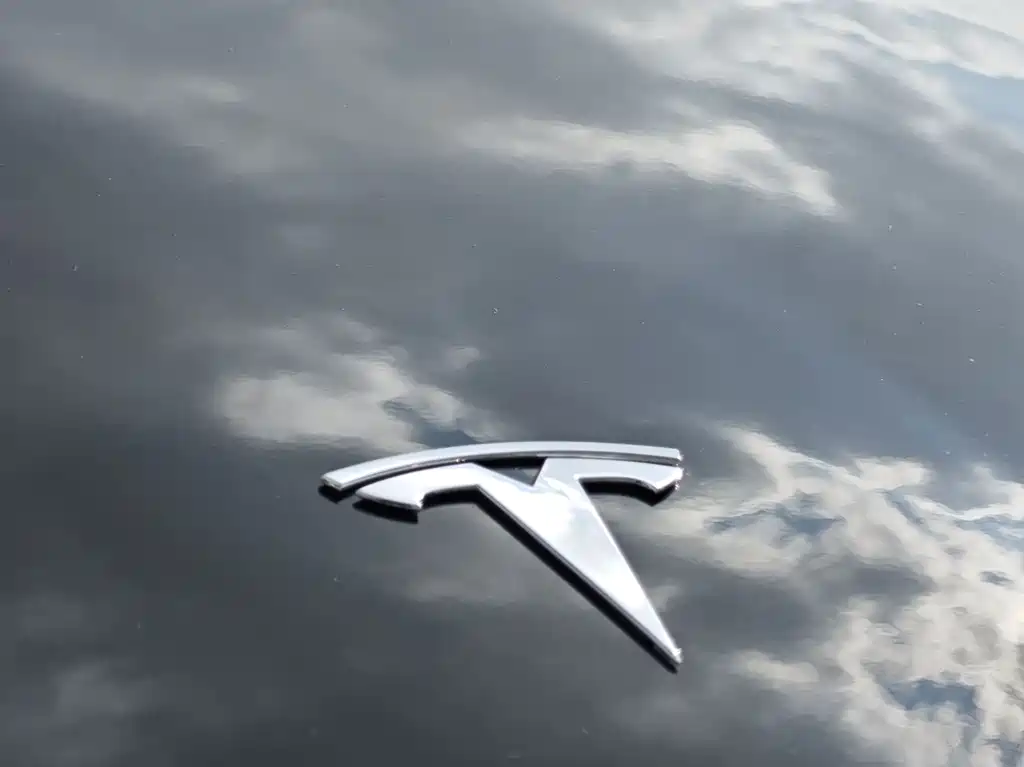 Tesla Model Y — миниатюра 19